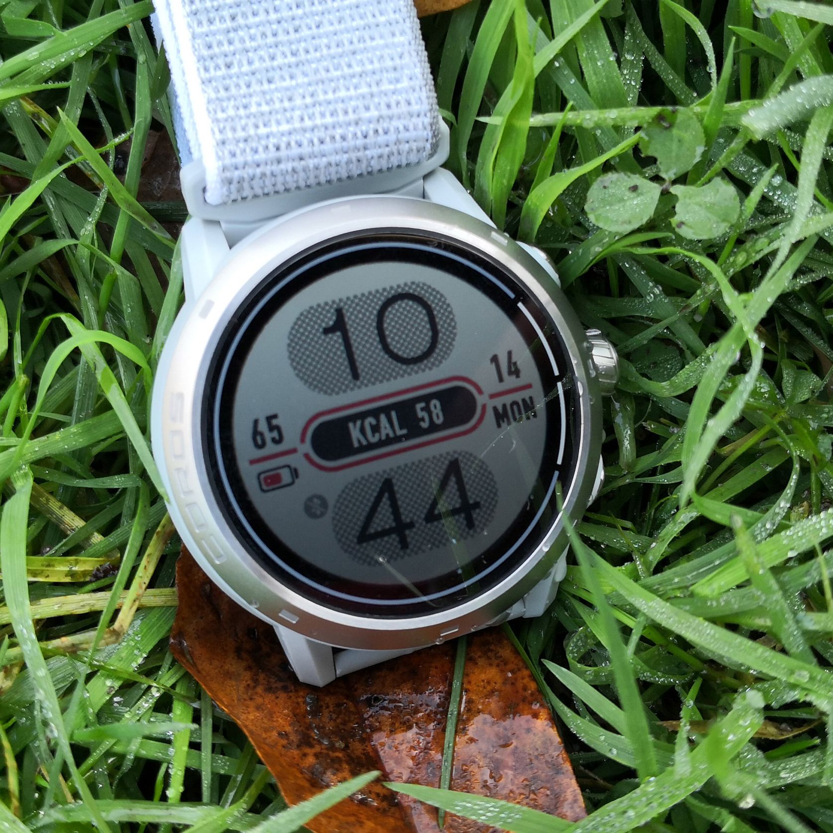 Coros Apex 2 Pro review: Giving Garmin and Apple a run for their