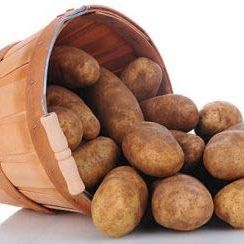 Simply Seed&amp;trade; - Russet Burbanks - Naturally Grown Seed Potatoes - 5 Lbs - Whole Potatoes- American Raised