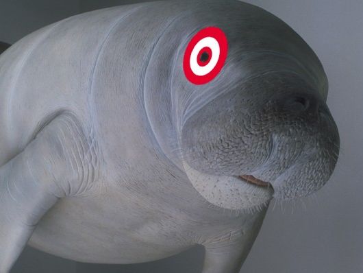 How Target fixed its 'manatee gray' plus-size debacle