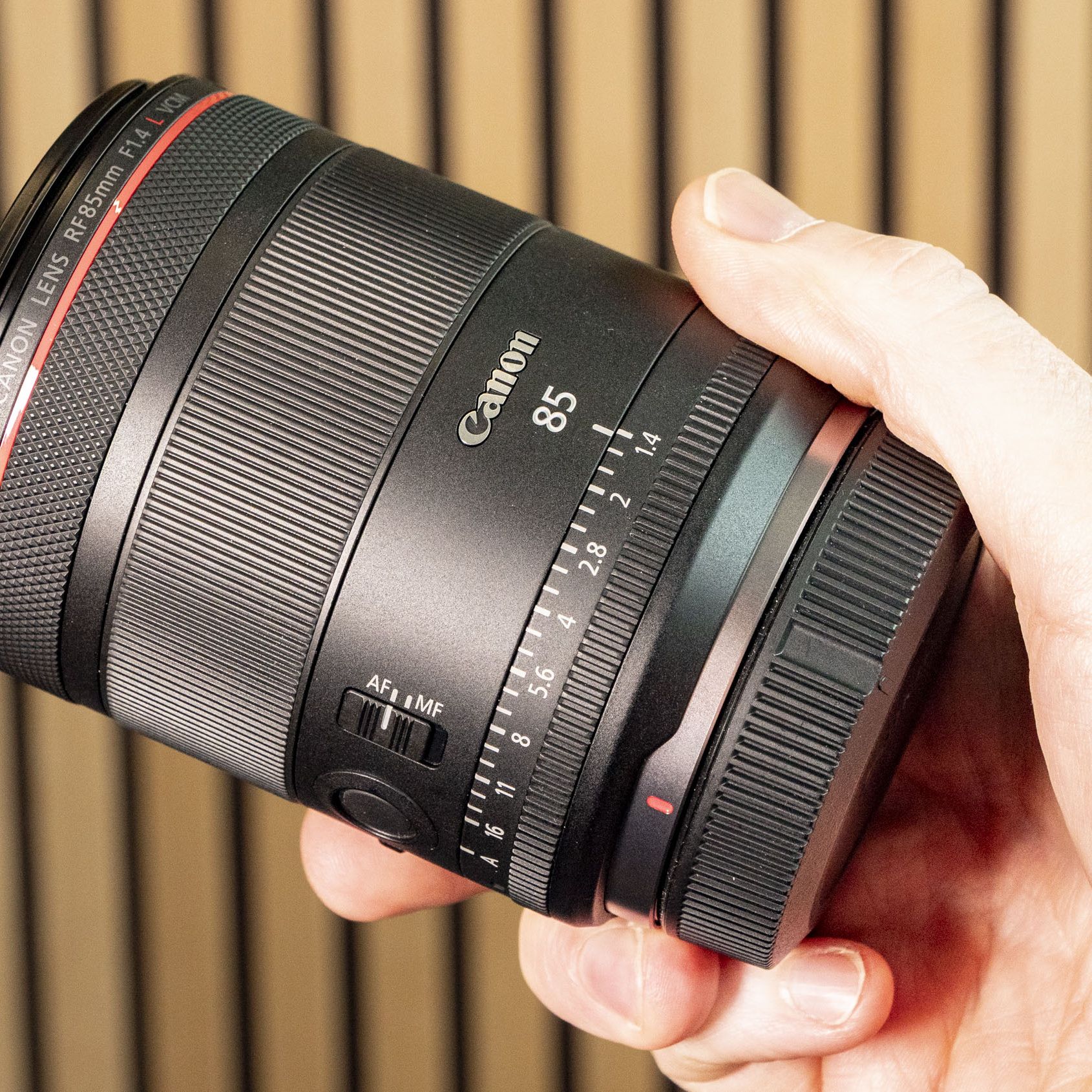 Canon RF 85mm F1.4L VCM review: a dreamy portrait lens | TechRadar