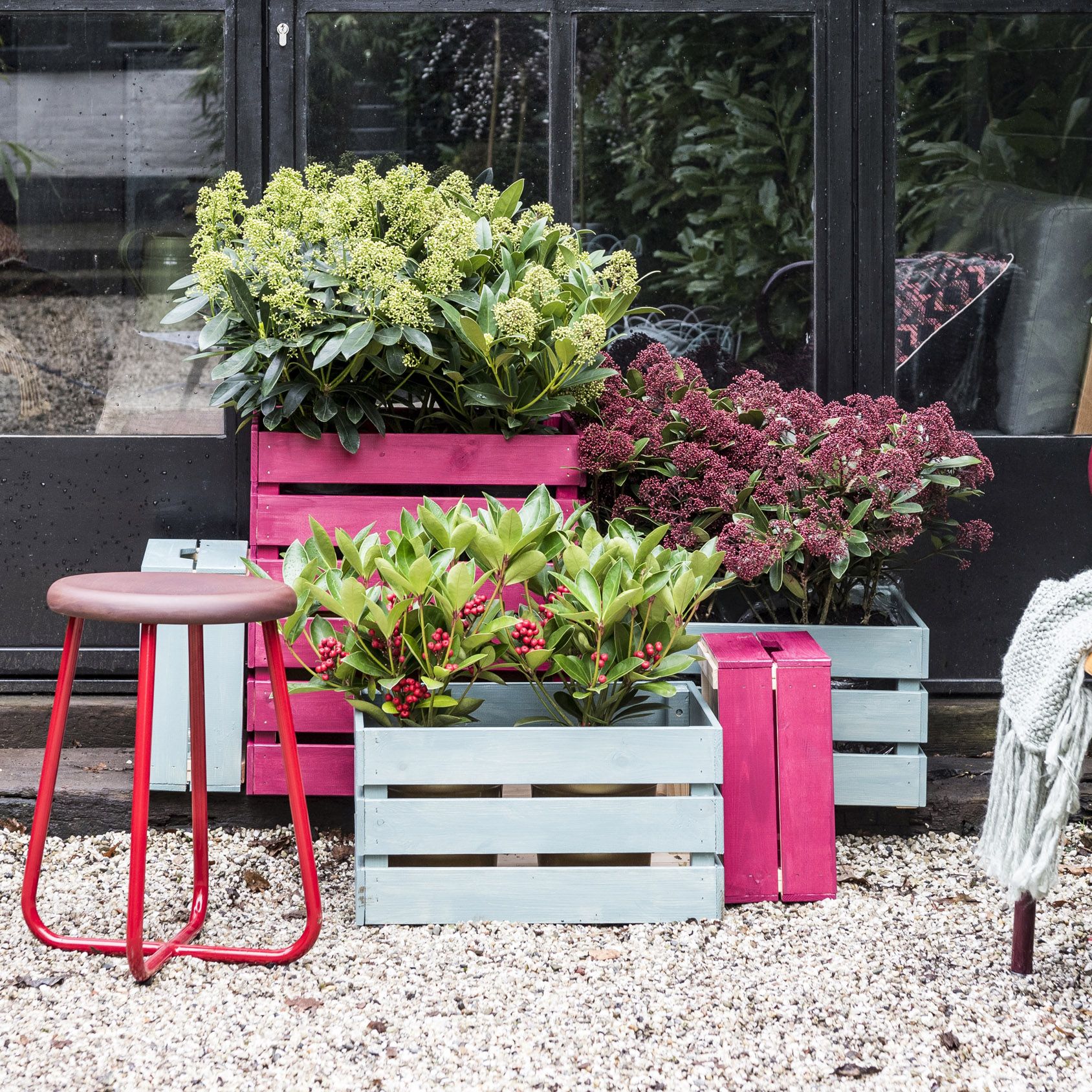 Best winter plants for pots: 17 bright ideas | Gardeningetc