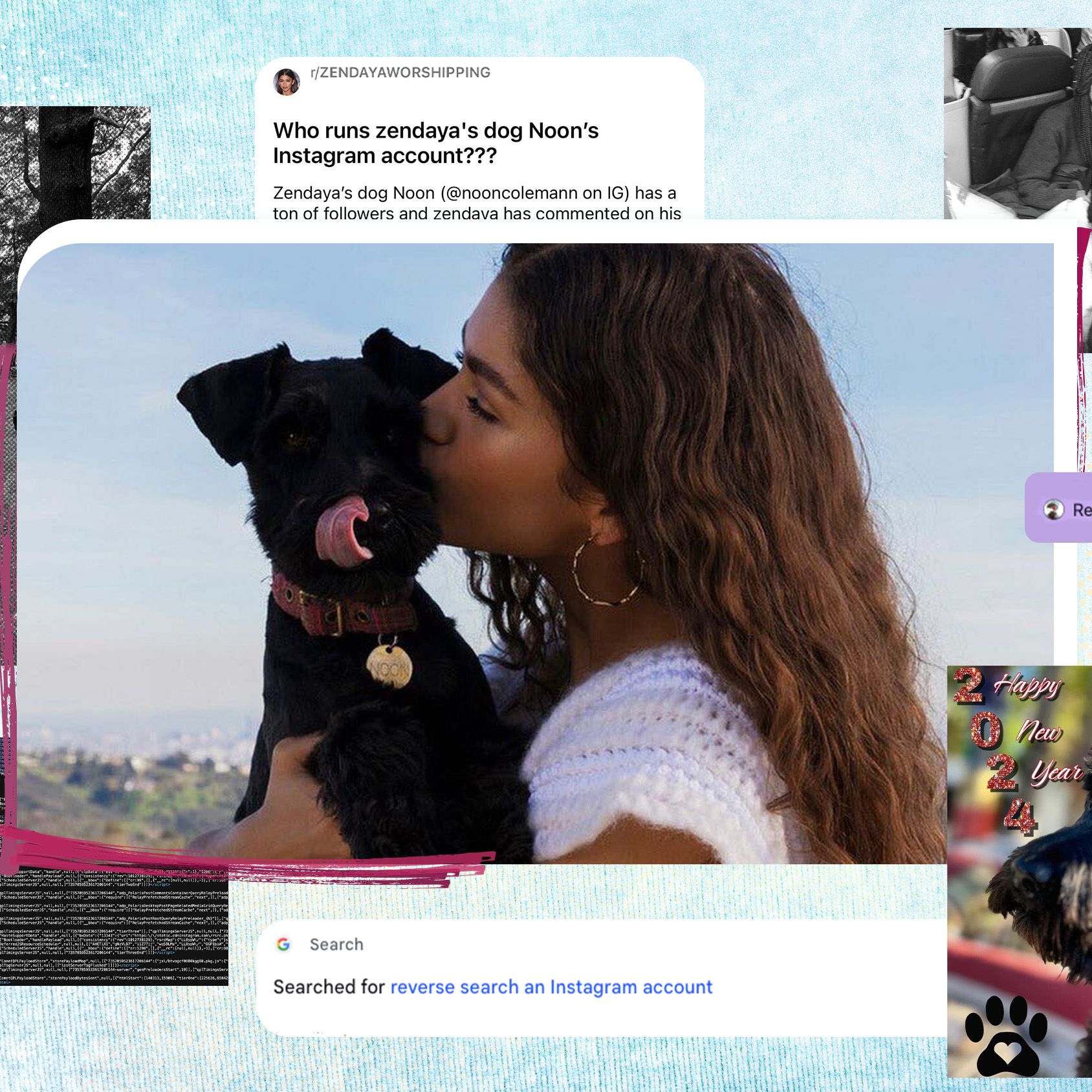 Who Runs @nooncolemann, Zendaya Dog's Instagram? | Marie Claire, image size:1688x1688
