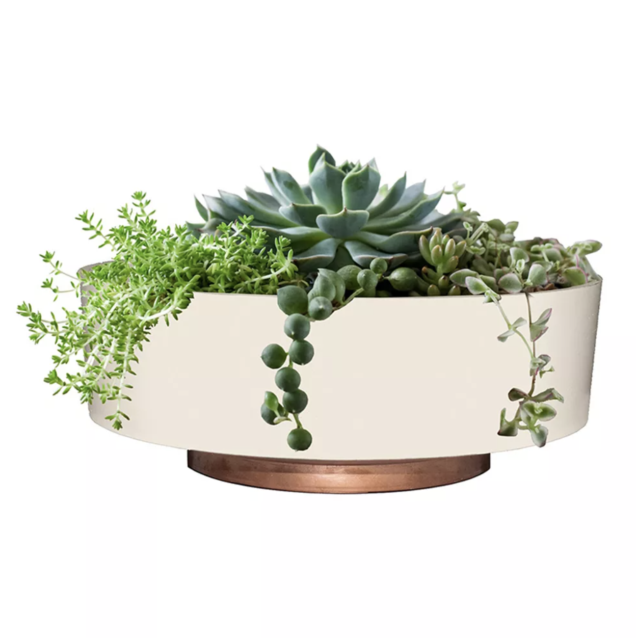 Target, Capri Bowl Planter