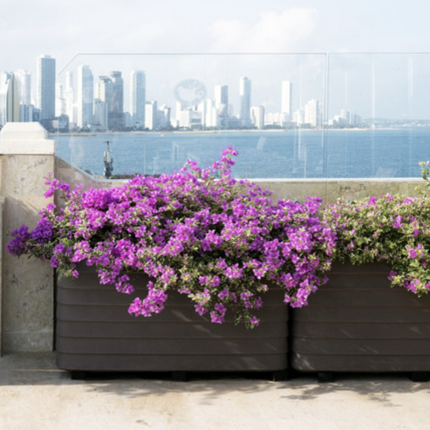 self-watering planter filled with deep pink flowers