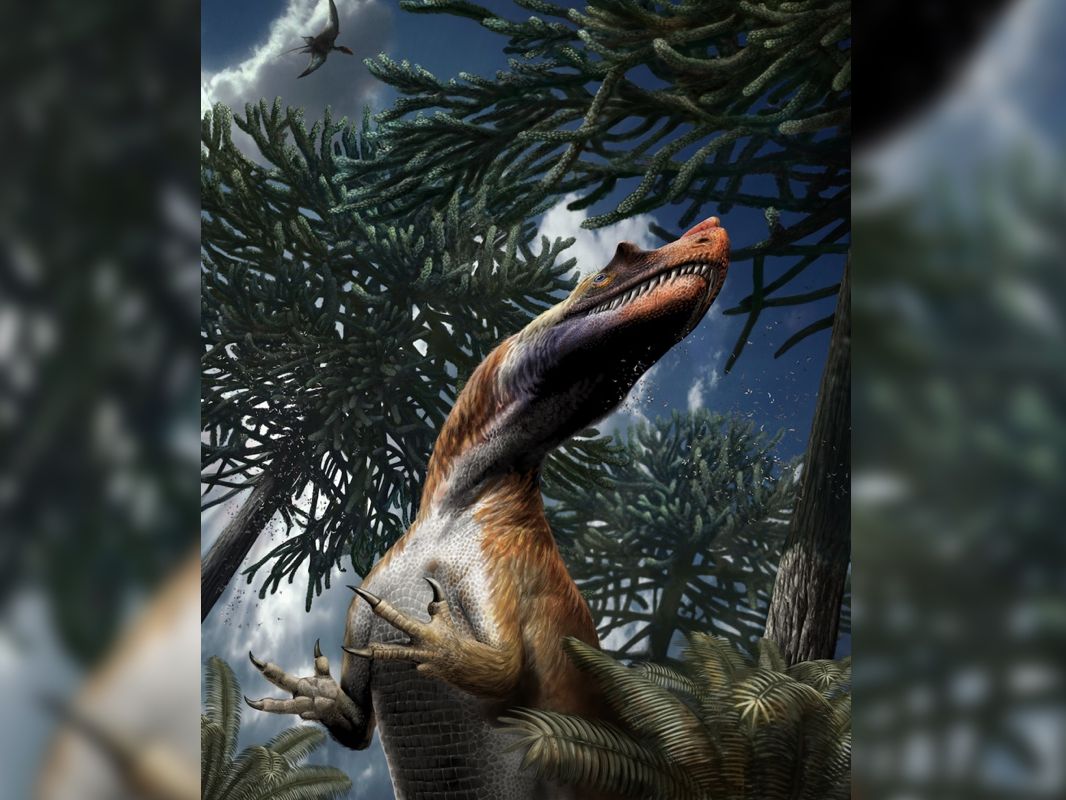 Miracle' Dinosaur Whose Bones Survived Being Blown Up Discovered