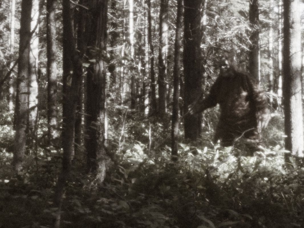 Bigfoot's FBI File Reveals Strange Story of a Monster Hunter
