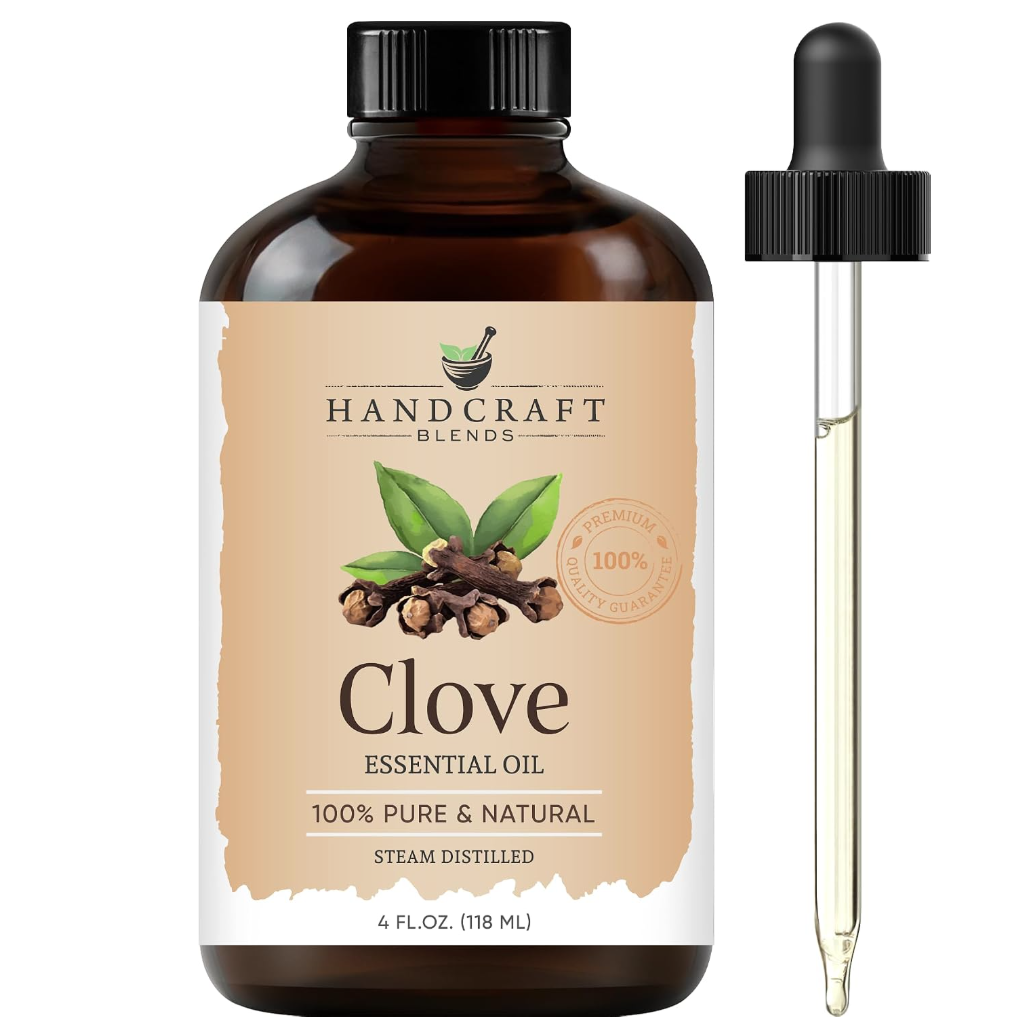 Handcraft Blends Clove Essential Oil 4 Fl Oz