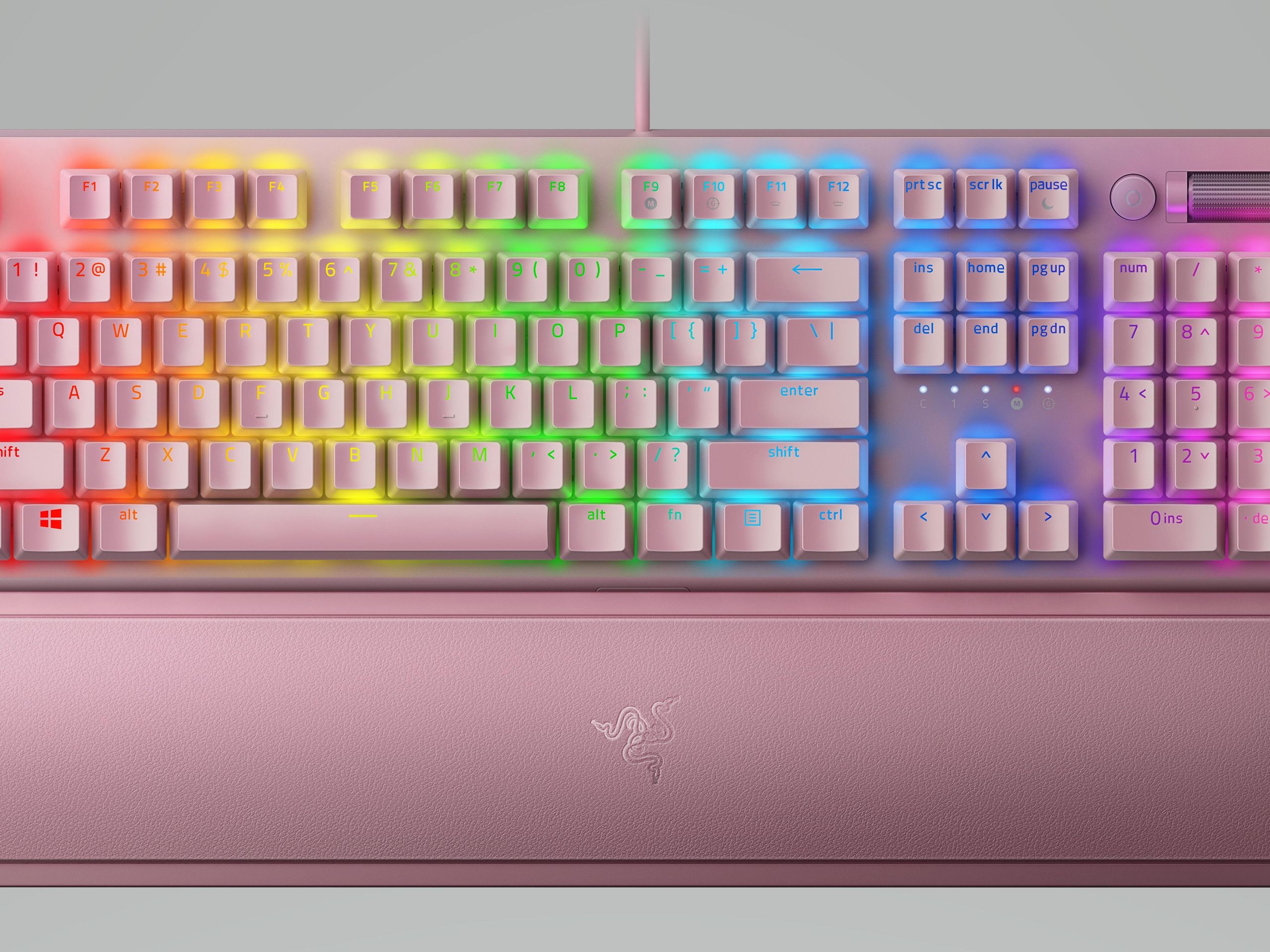 uC2N655WDhRBJf7ADHnndK.jpg