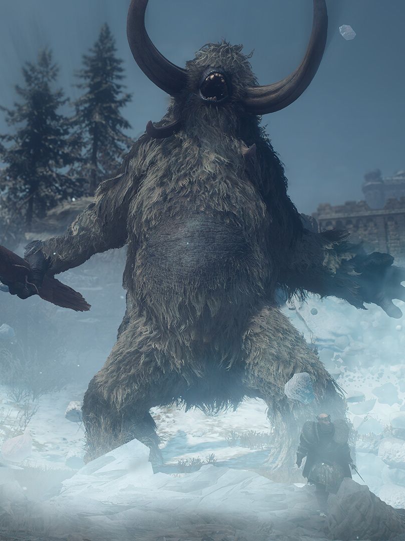 Dragon's Dogma 2 - A dragon bear-like monster