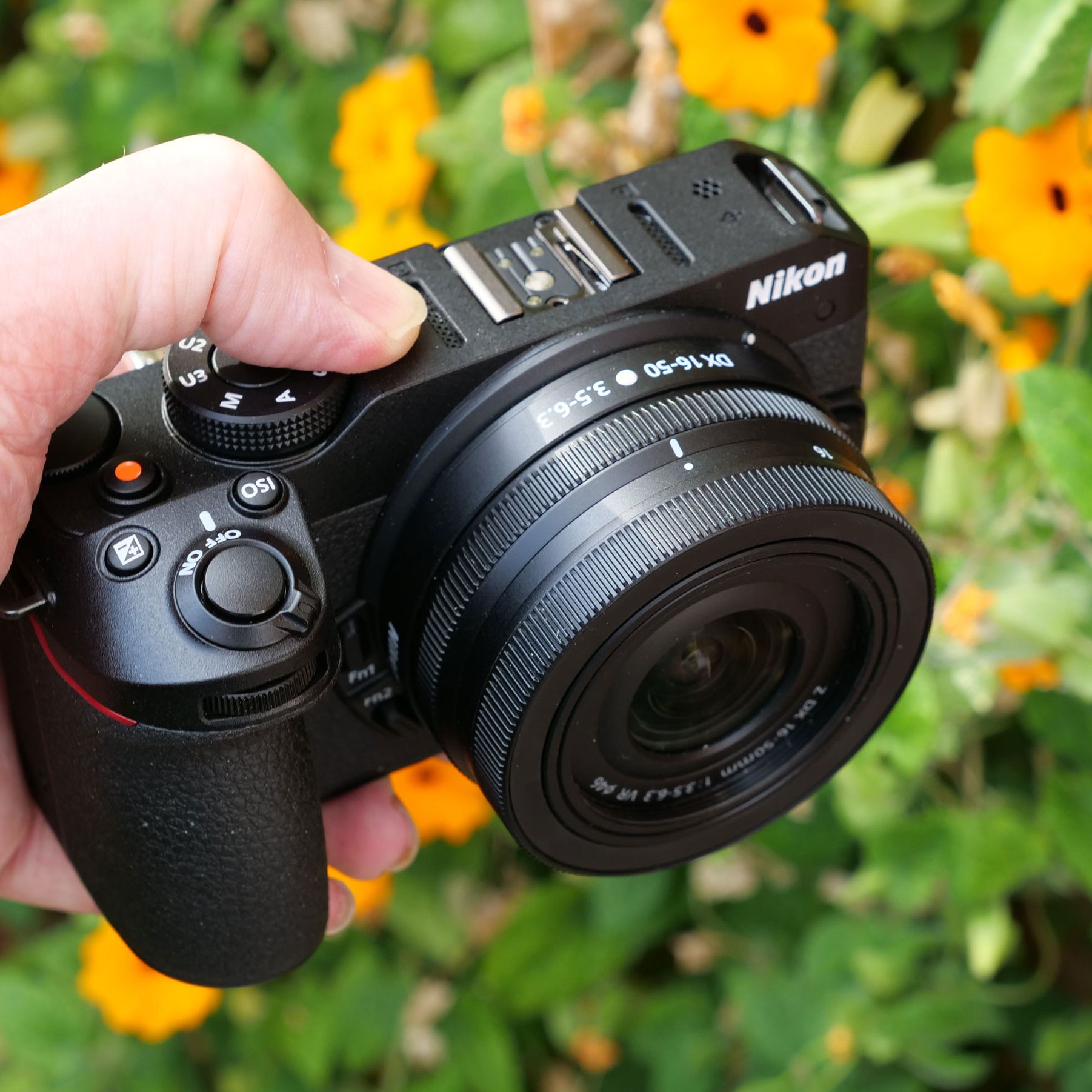 This cheap compact mirrorless is quickly becoming Nikon's This cheap compact mirrorless is quickly becoming Nikon's