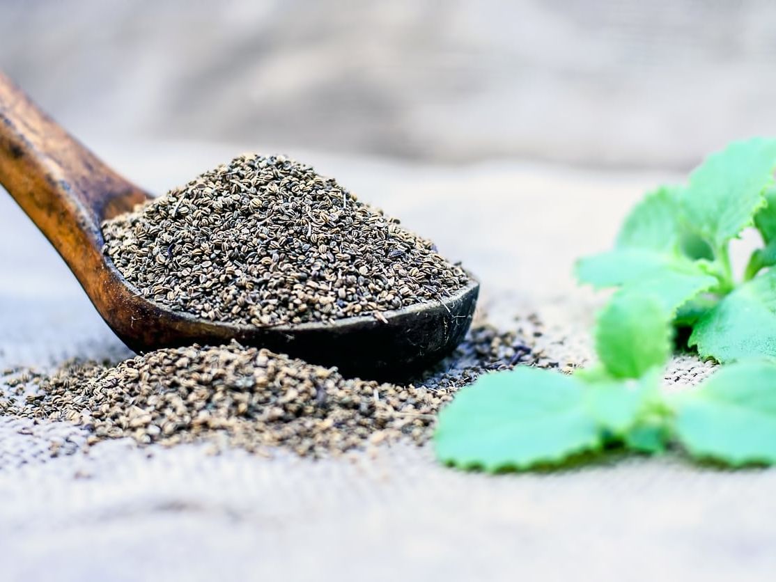 What Is Ajwain  How To Grow Carom Herbs In The Garden | Gardening Know How