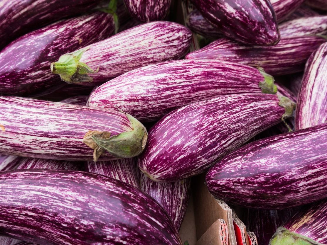 Graffiti Eggplant Info: How To Grow A Purple Graffiti Eggplant