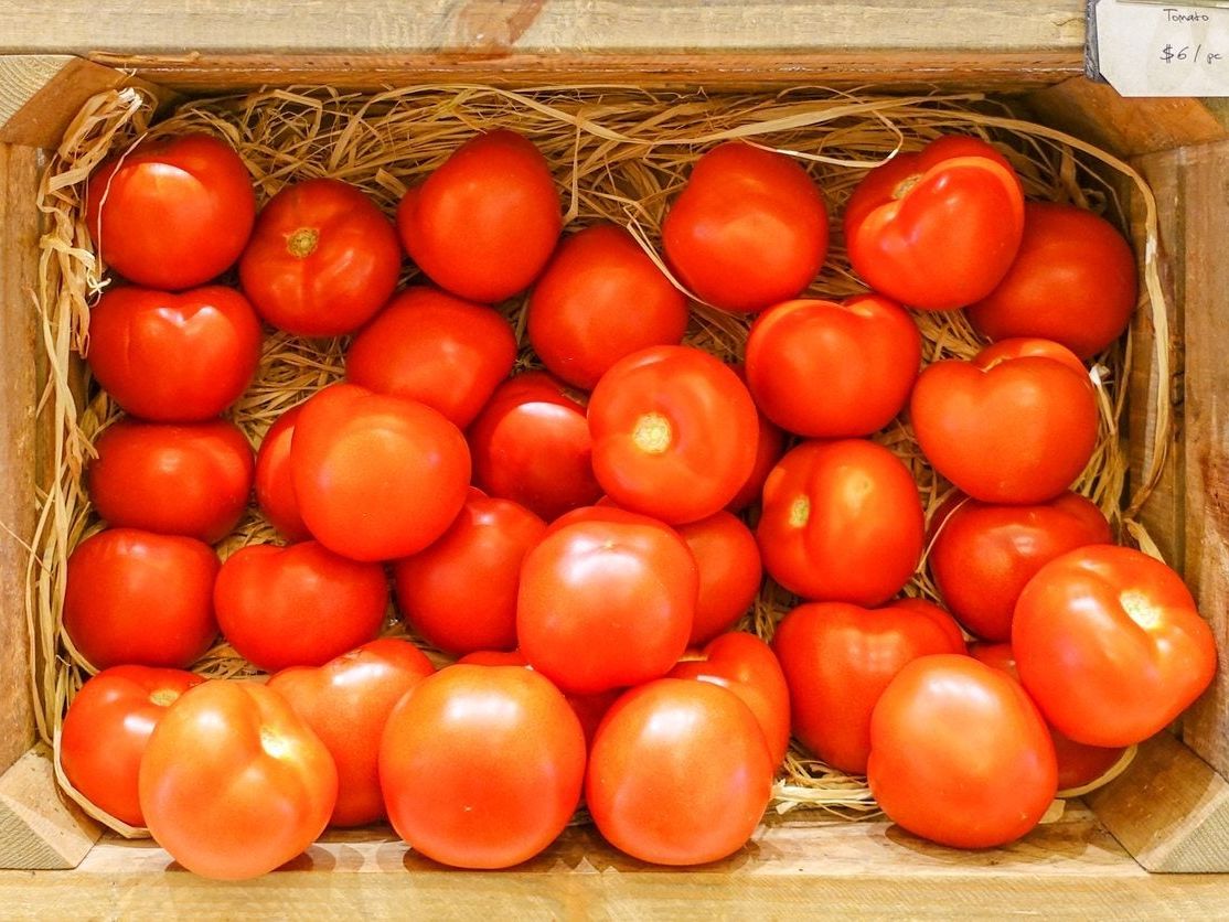 What Is A Long Keeper Tomato - Learn About Long Keeper Tomato Care
