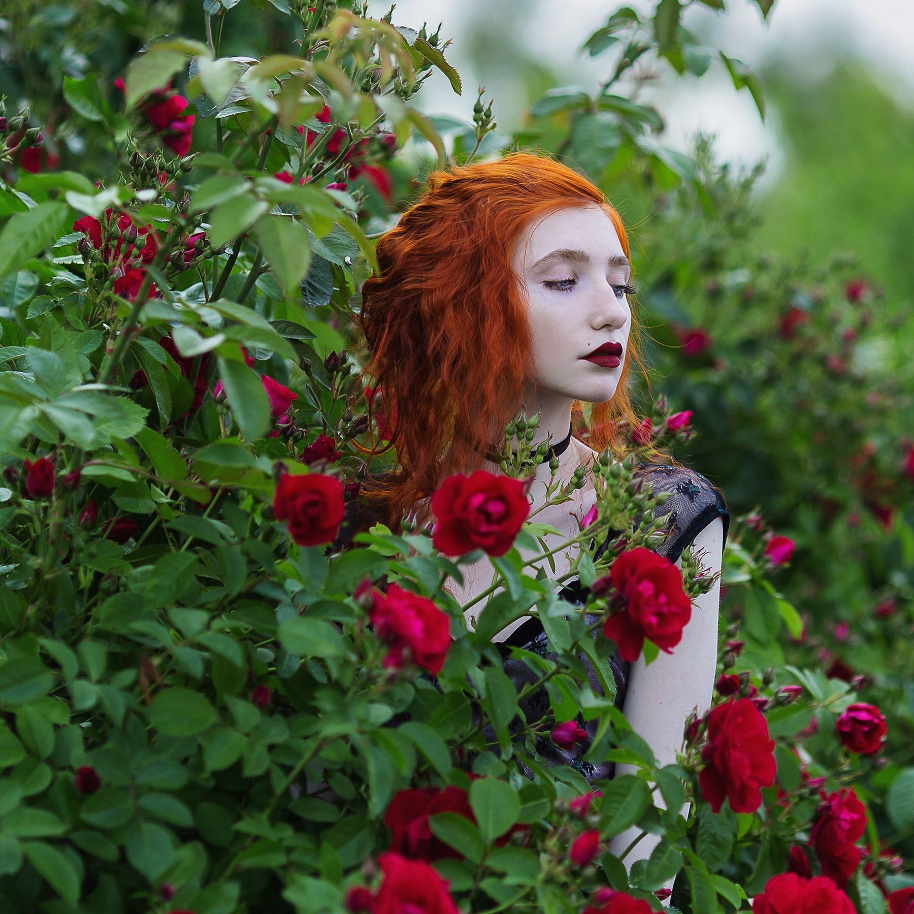6 Ways The Goth Garden Trend Is Sophisticated & Sustainable | Gardening  Know How