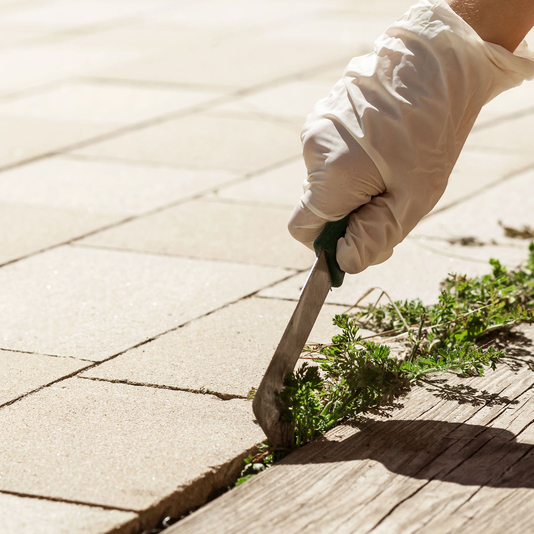 How to Remove Weeds Between Patio Pavers: Expert Tips & Tricks
