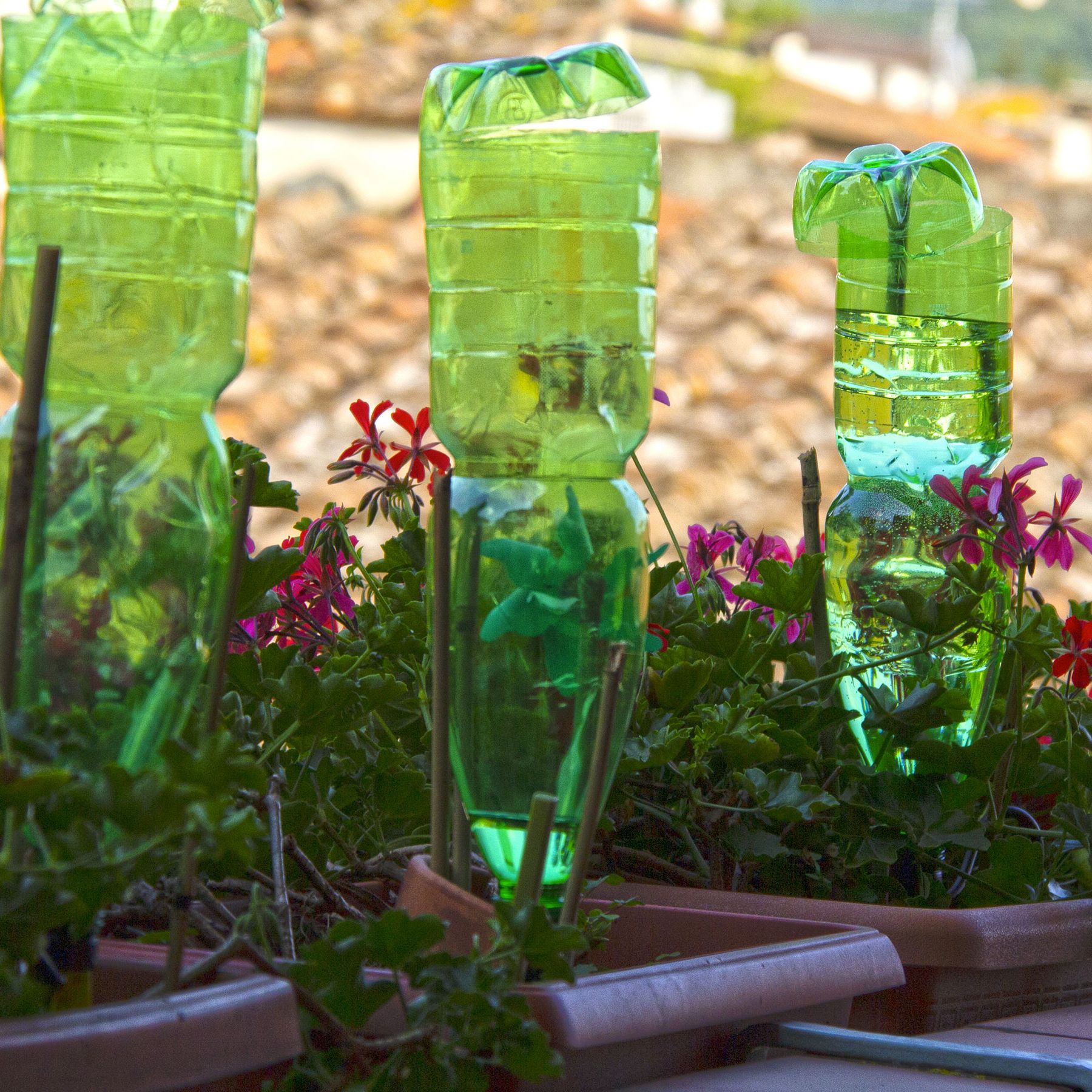 How to make a DIY drip irrigation system for free | Gardeningetc