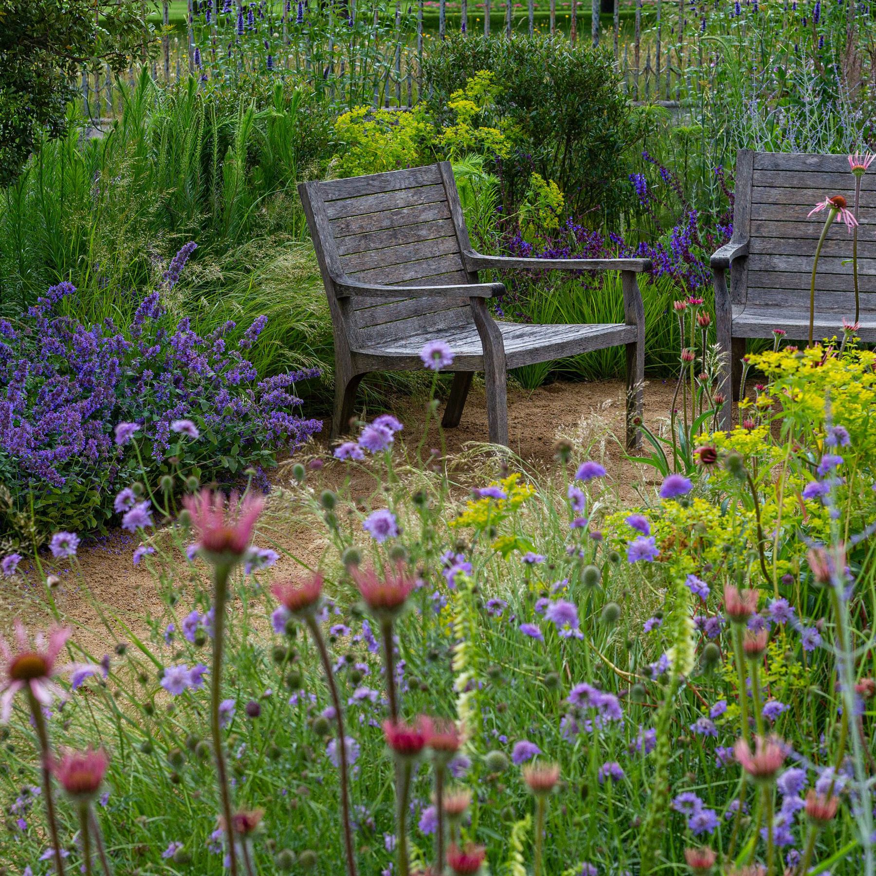 Sensory garden plants: the 10 best to grow in your garden | Homes and  Gardens