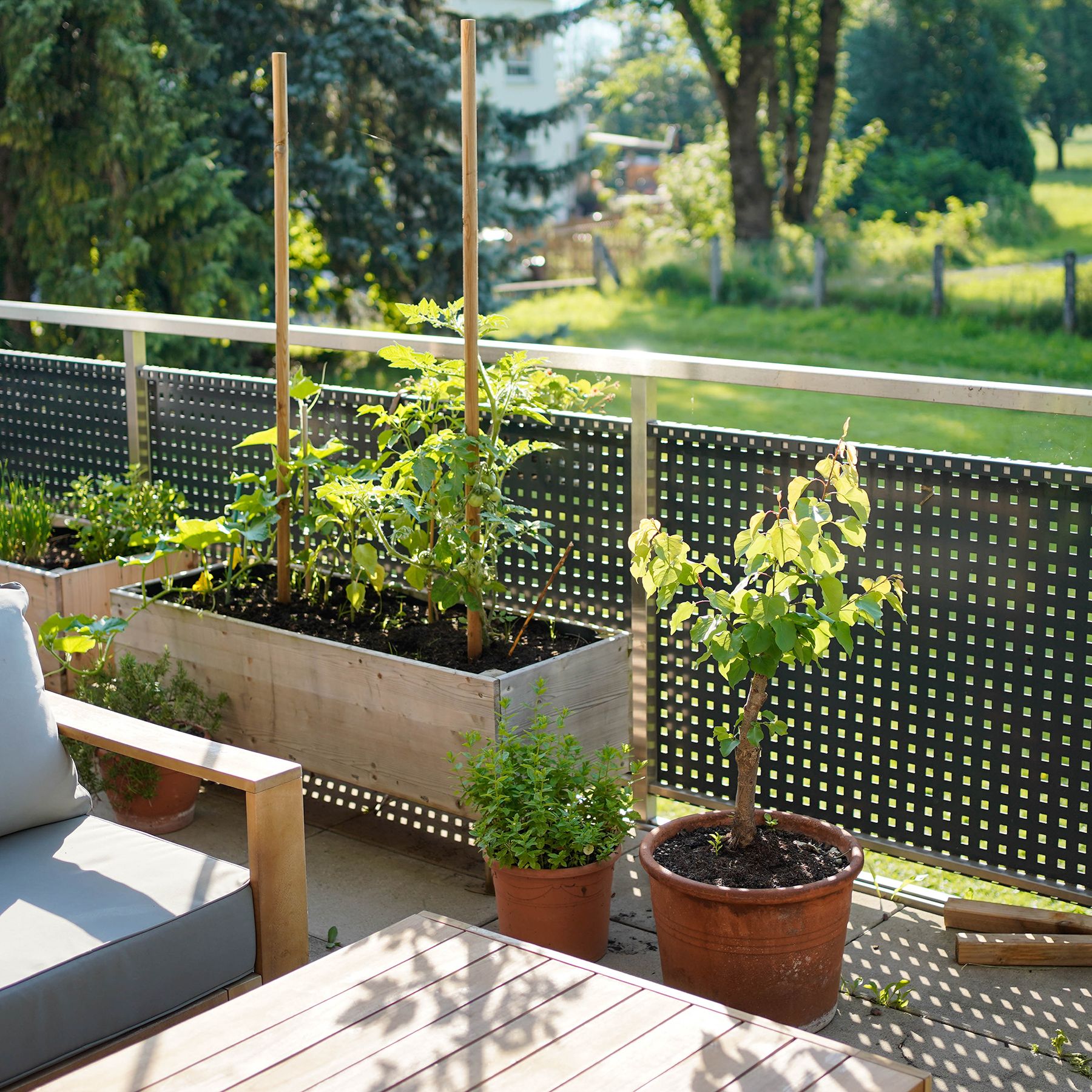 Balcony Raised Bed Ideas: How To Create A Raised Bed For Balconies |  Gardening Know How, image size:1800x1800