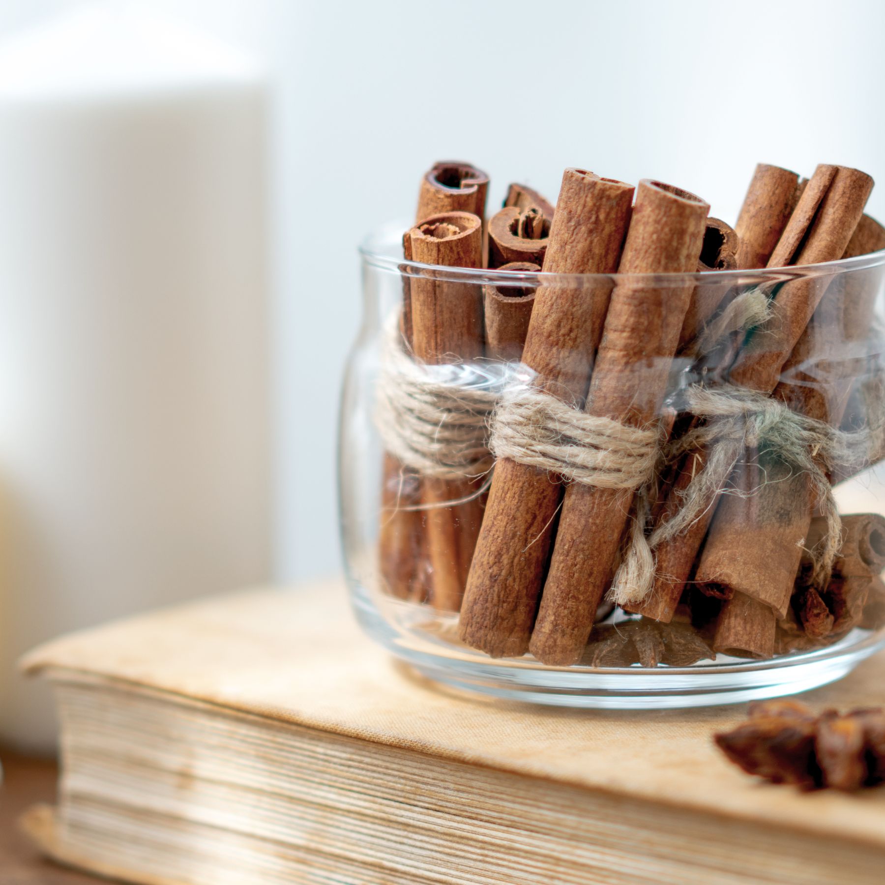 The benefits of using cinnamon powder for plants | Ideal Home
