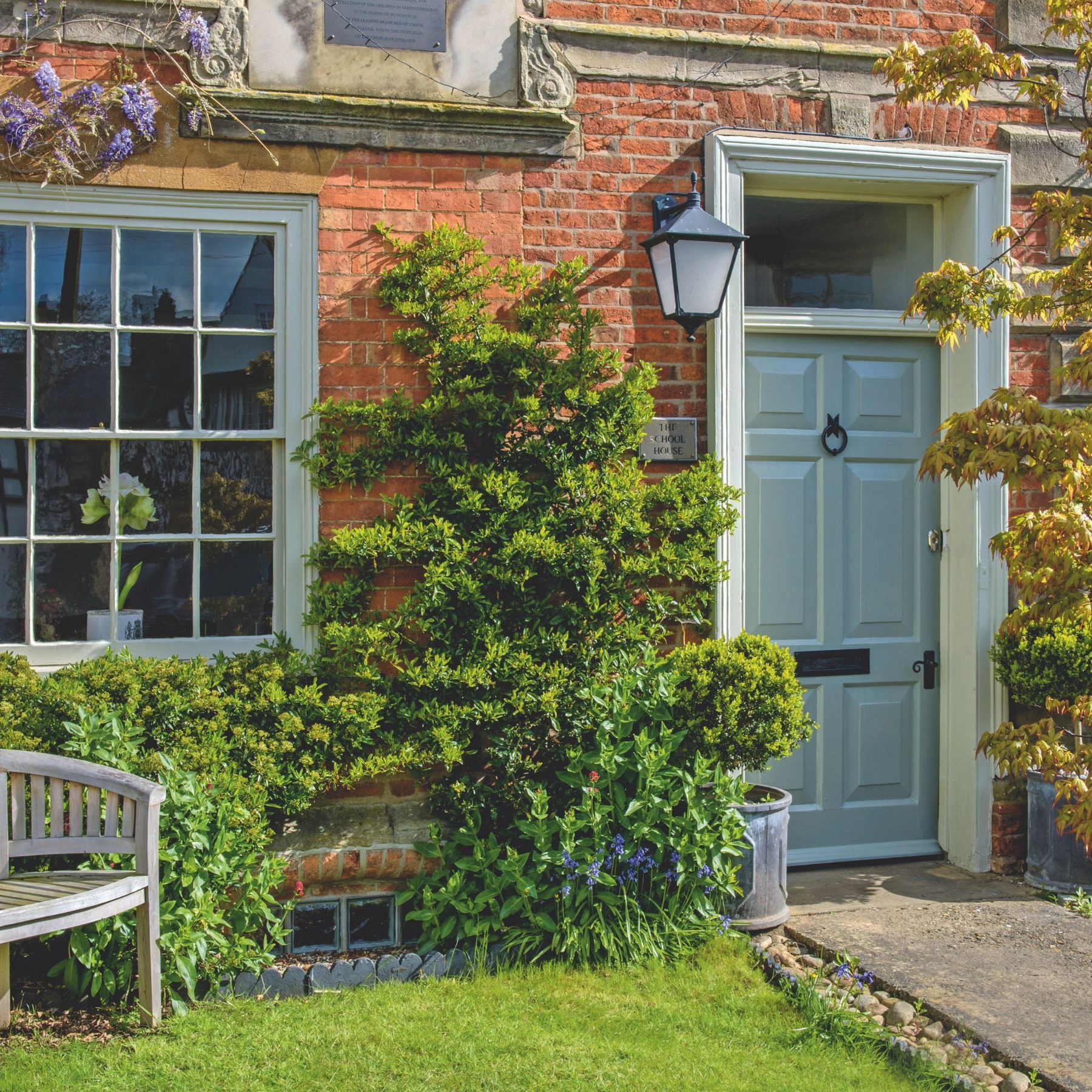 Best trees to plant close to a house and which ones to avoid | Ideal Home
