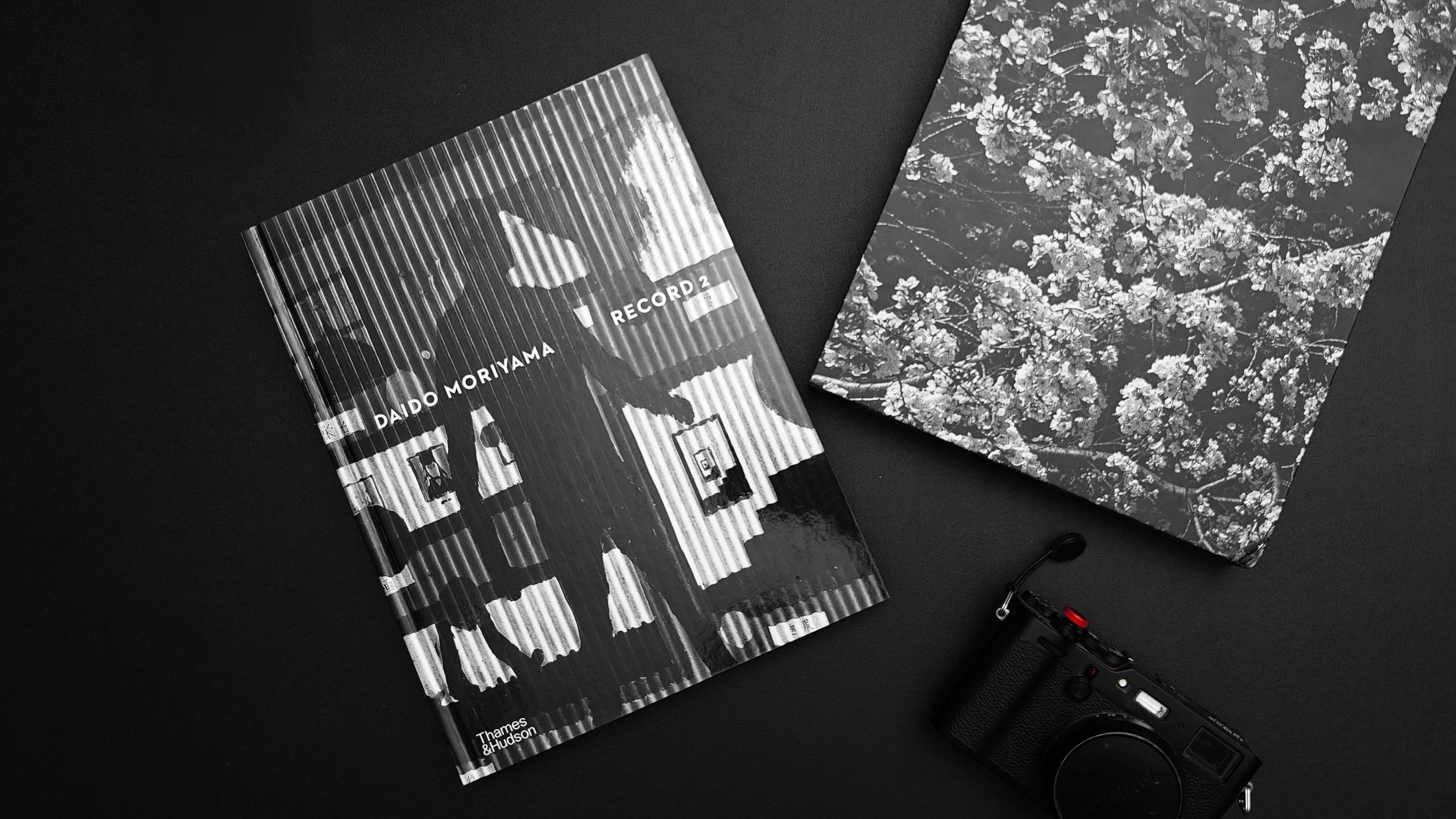 Record 2 by Daido Moriyama review: A masterclass in street