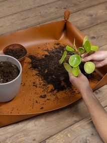 Fallen Fruits Potting Mat
