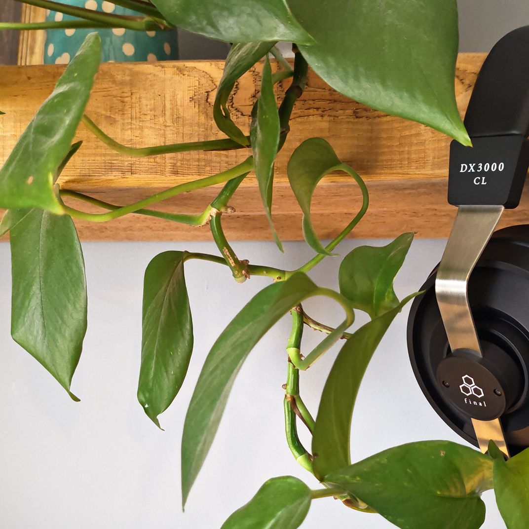 Final DX3000CL headphone review: Super soft comfort, warm