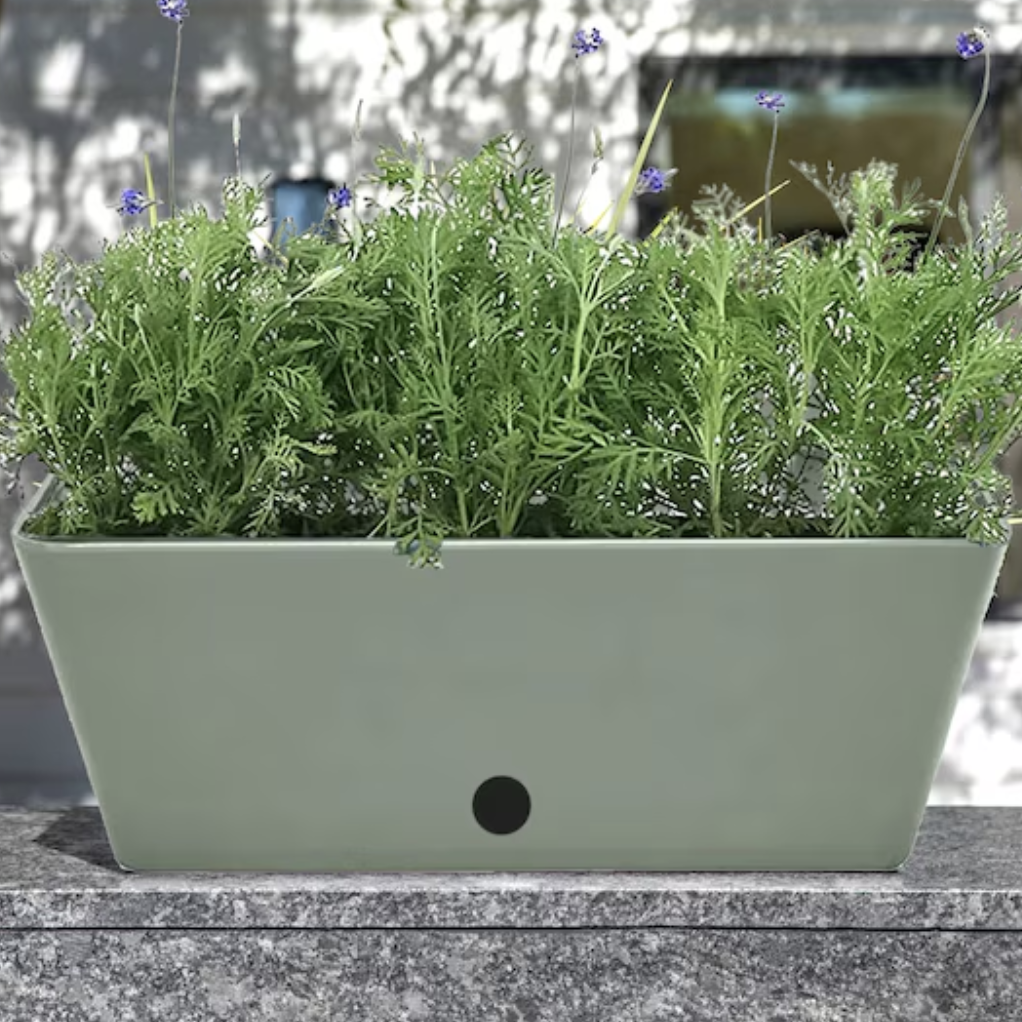 sage green self-watering planter