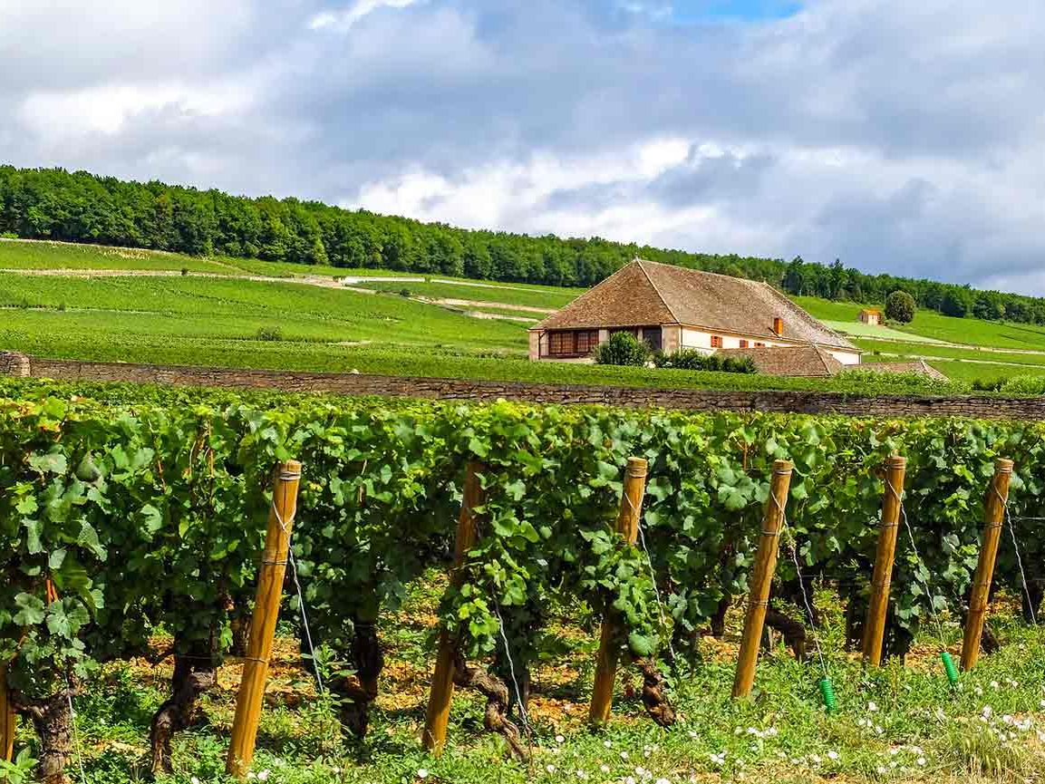 Back roads of Burgundy, part 1: the Côte de Beaune | Decanter