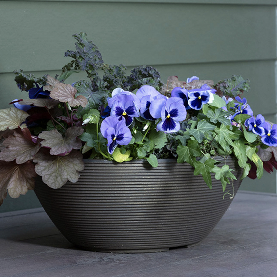 Plant Addicts, Delano Bowl Planter