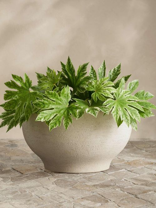 Como Outdoor Planter
