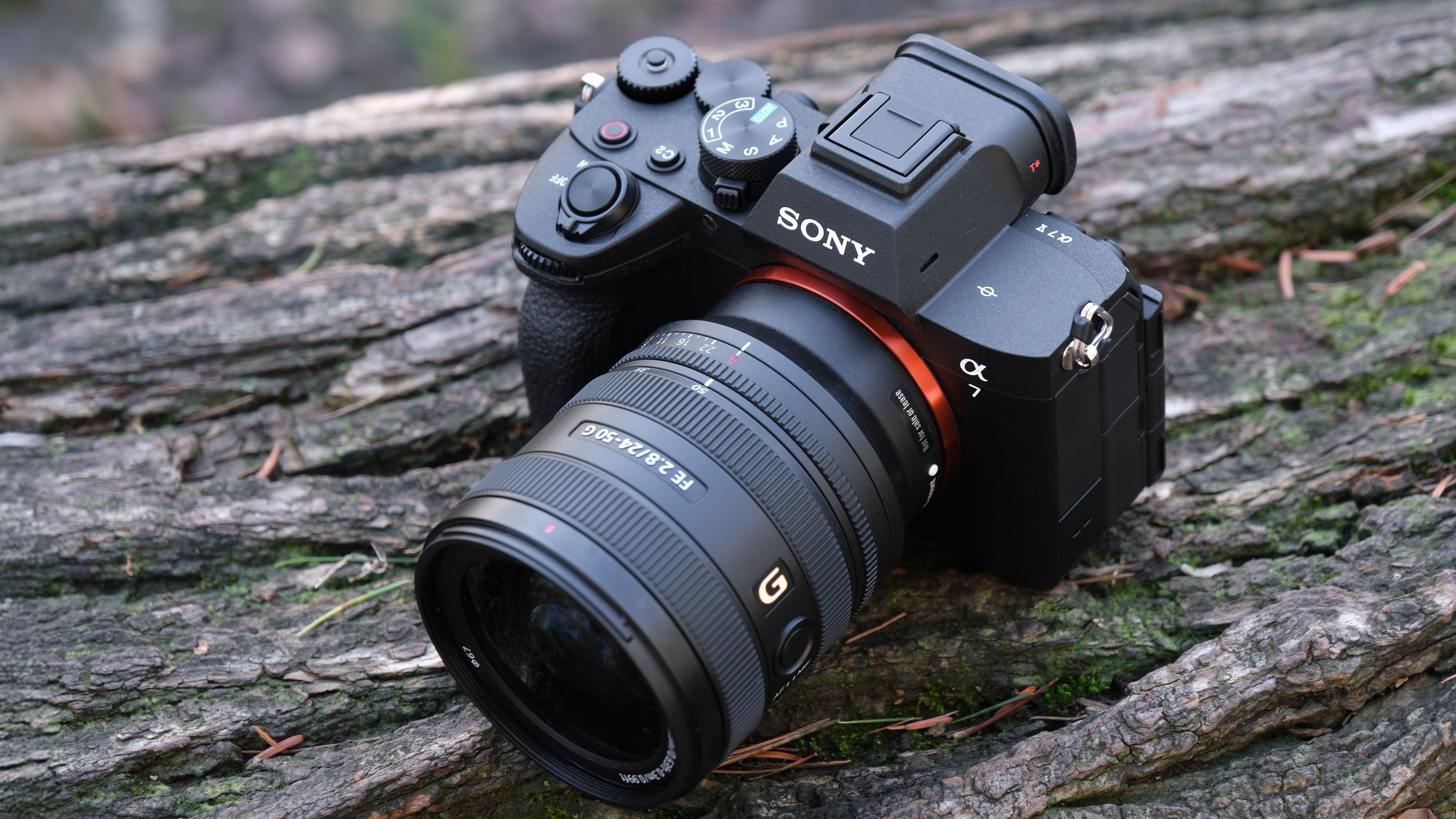 Sony A7 V camera with a lens attached, on a tree branch