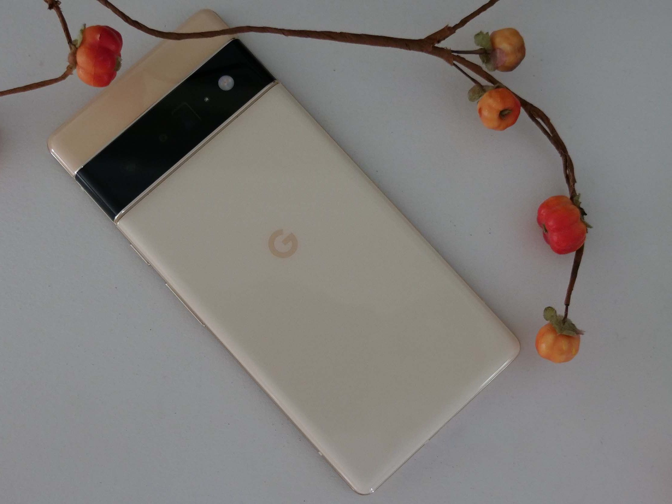 Pixel 6 Pro review: Google's true flagship phone | Laptop Mag