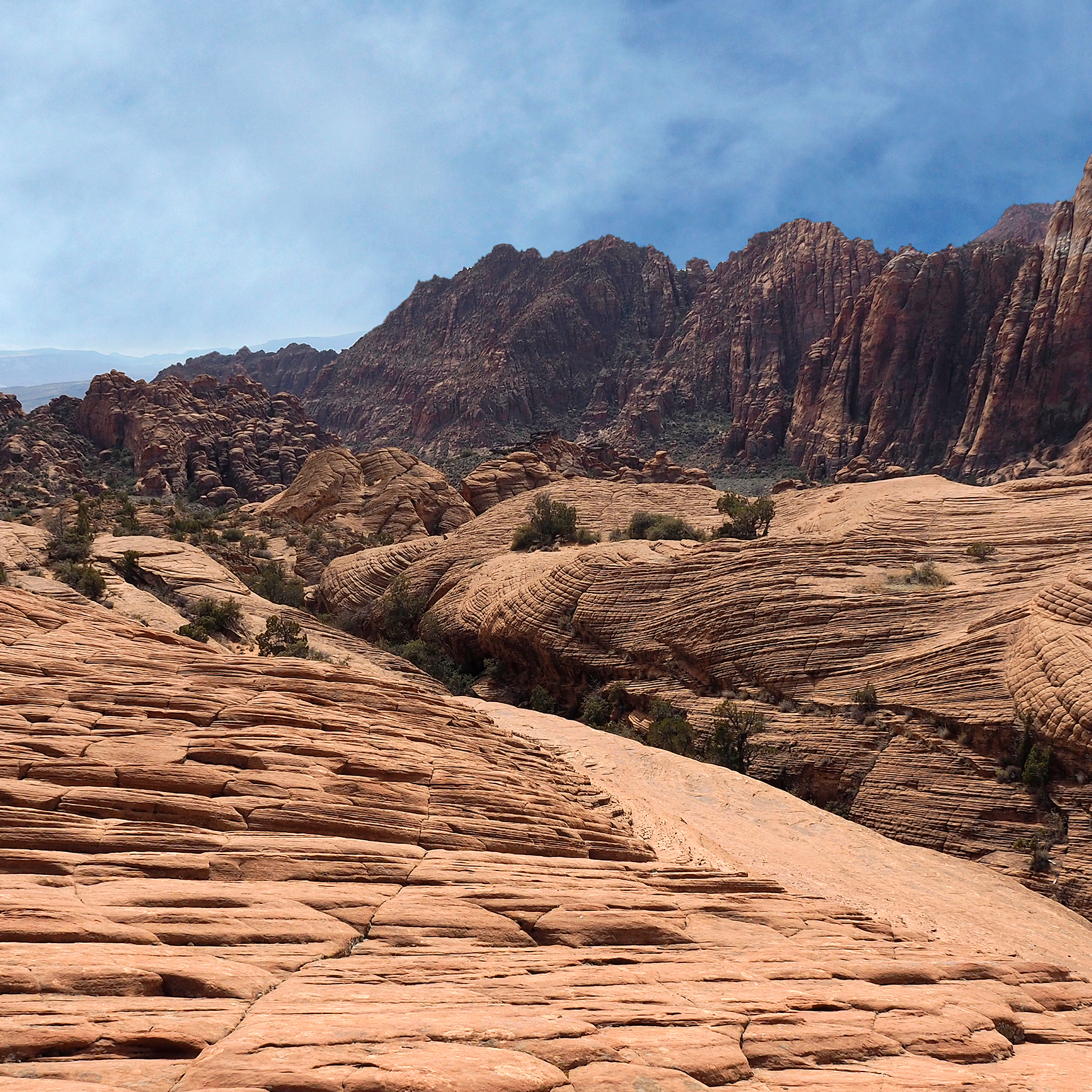 MOUNTAIN☆JAW Father 816N0wJ3T1L._UF350,350_QL50_.jpg