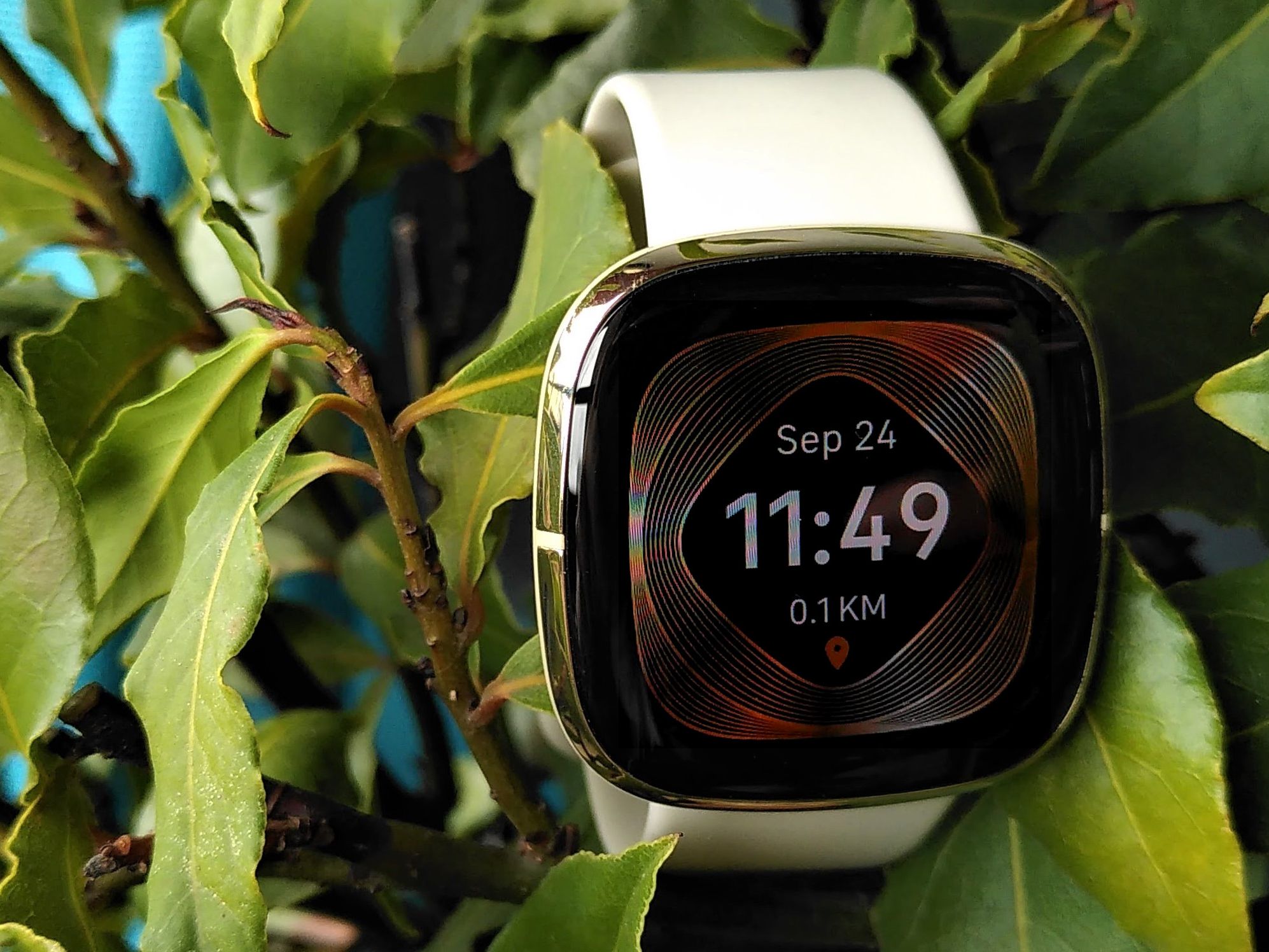 その他 fitbit sence Fitbit Sense Advanced Smartwatch with Built-In GPS