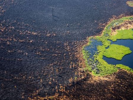 Siberian wildfires dwarf all others on Earth combined | Space