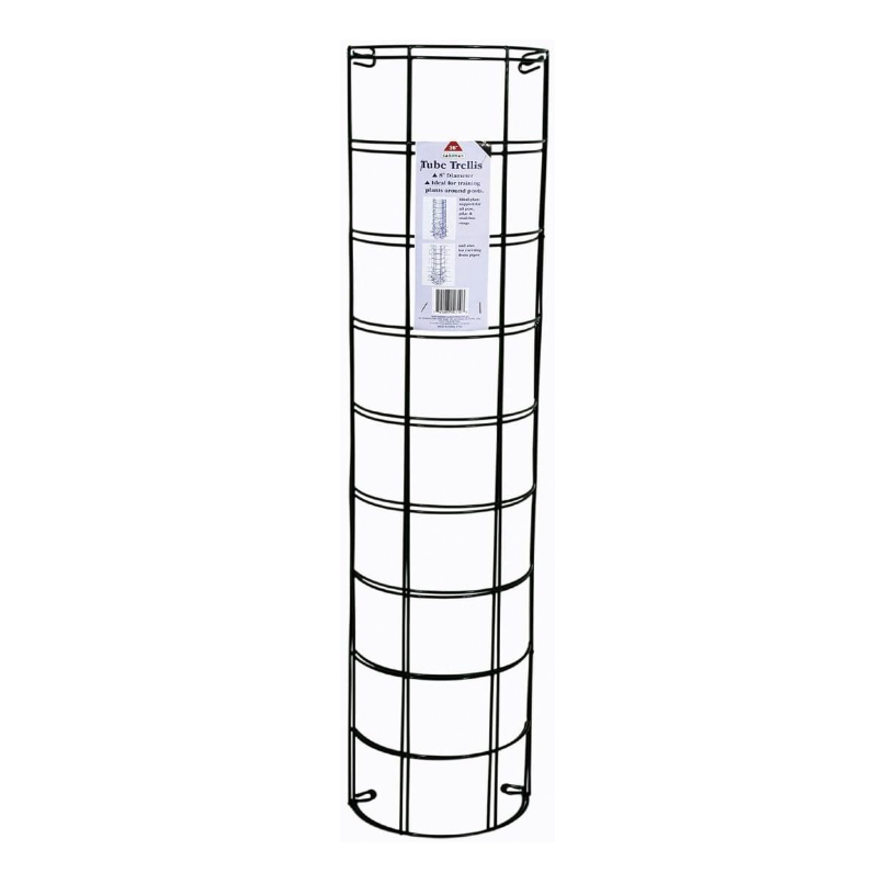 Amazon tube trellis