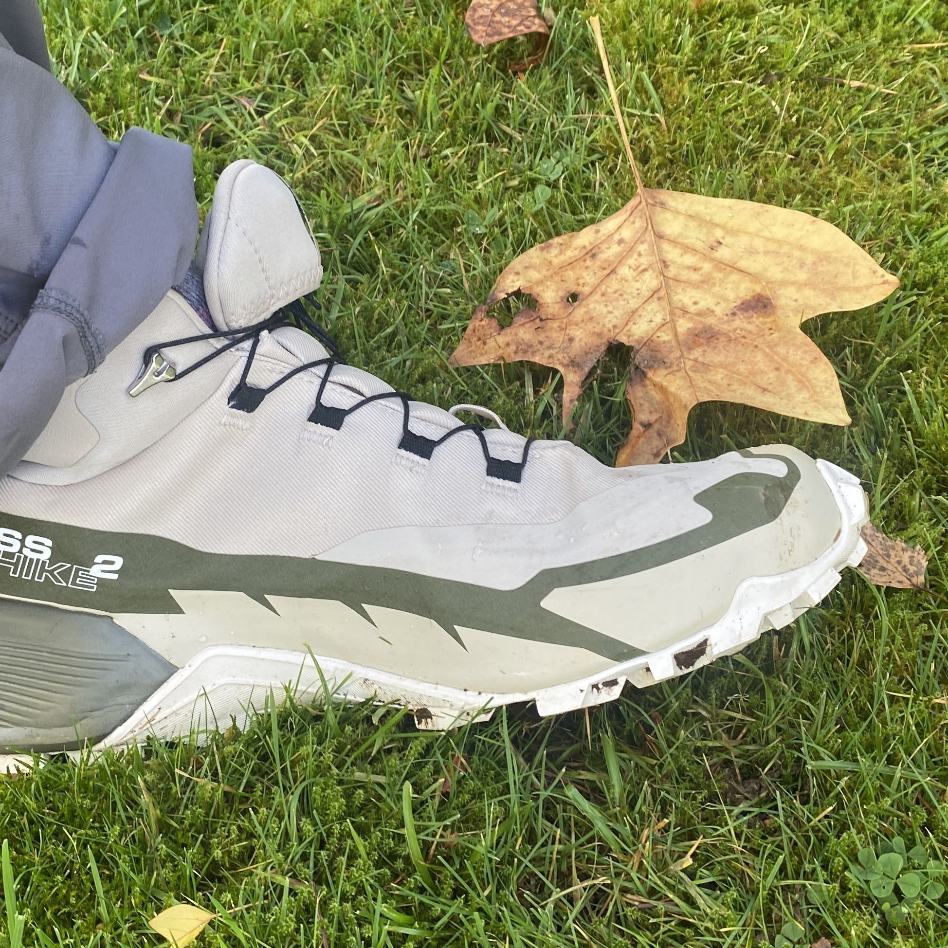 スキー SALOMON CROSS ADVANCED スキー SALOMON CROSS ADVANCED SALOMON Speedcross Advanced