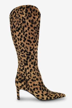 dsw,