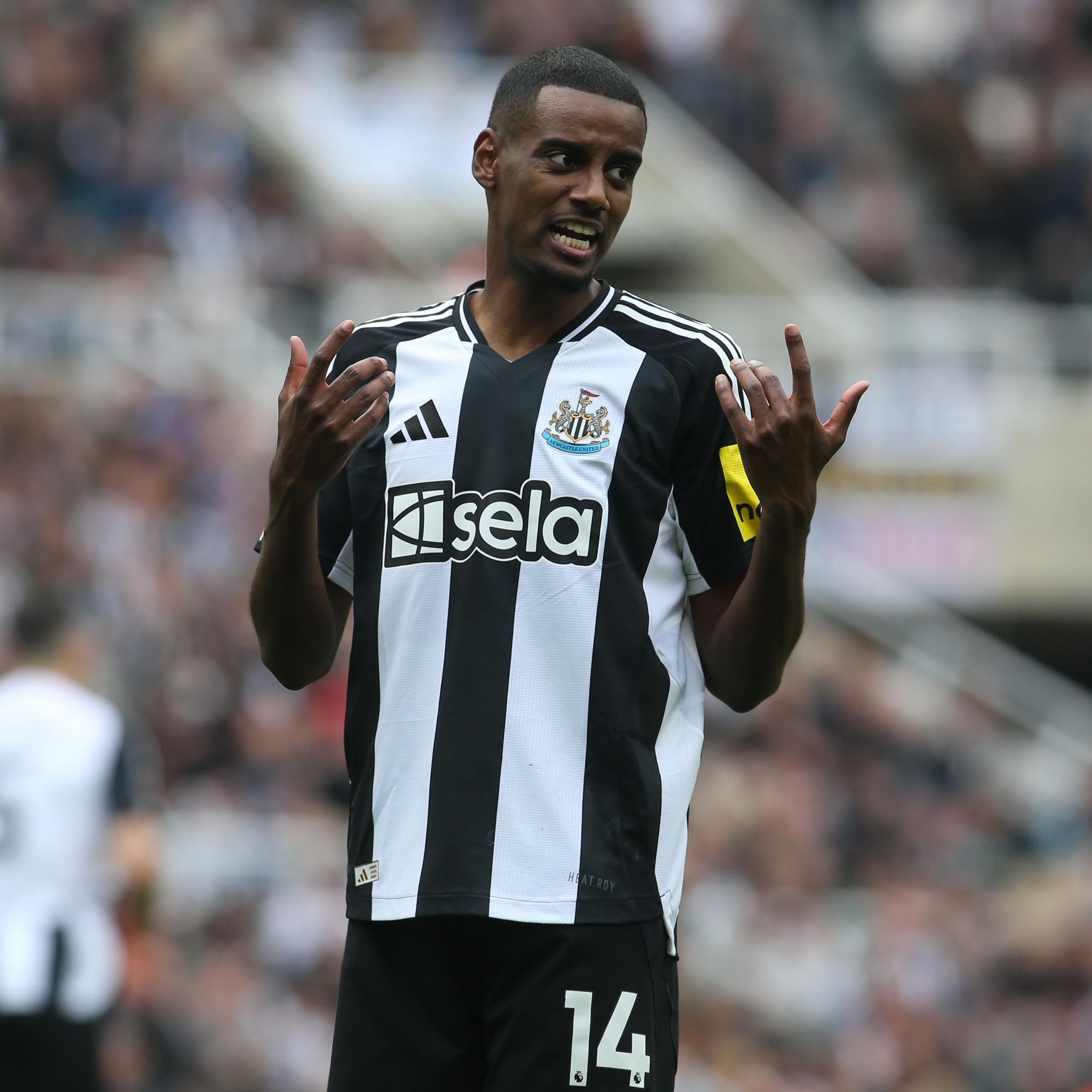 Newcastle United given green light to secure the best attack in