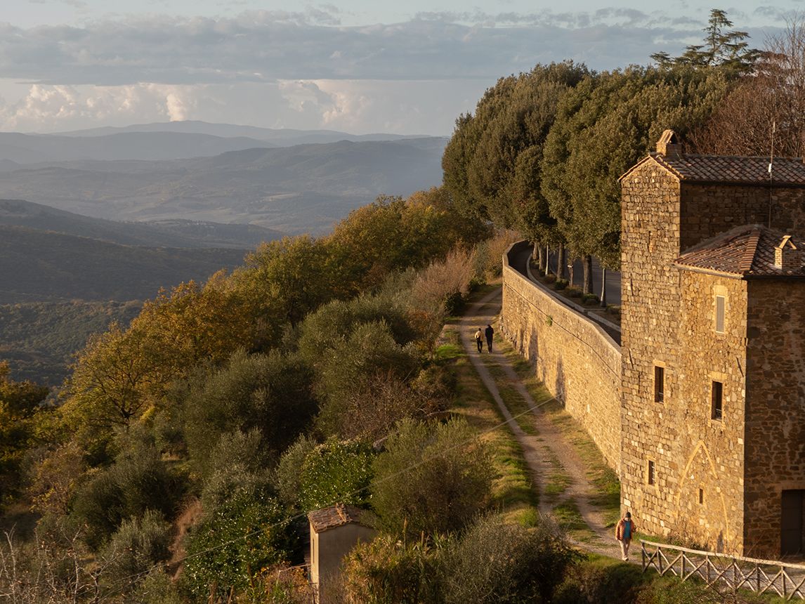 Brunello di Montalcino 2021: Our expert's 10 smart picks for