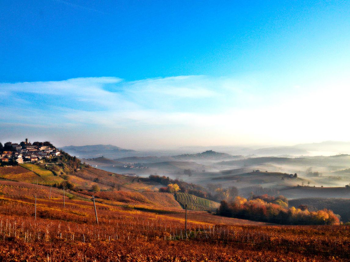 Pelaverga Verduno: Piedmont's hidden treasure | Decanter