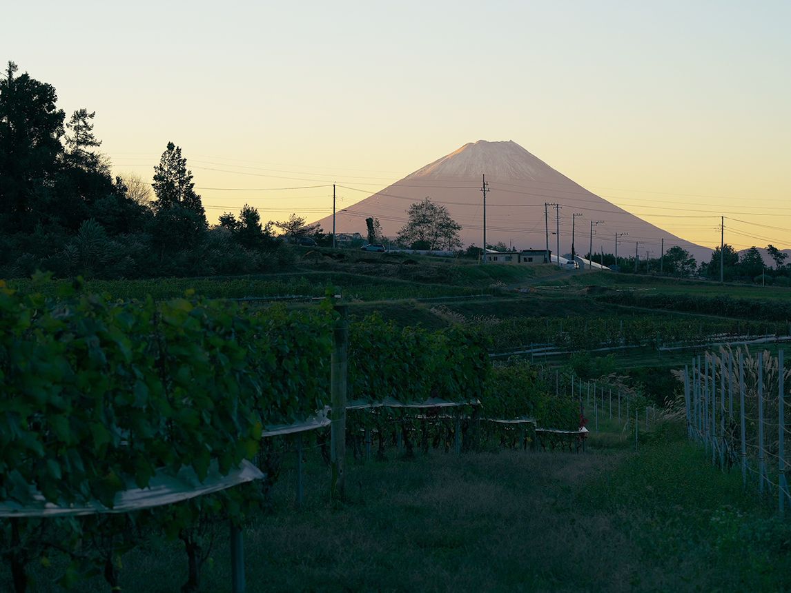 Grace Wine: From the foothills of Mount Fuji | Decanter