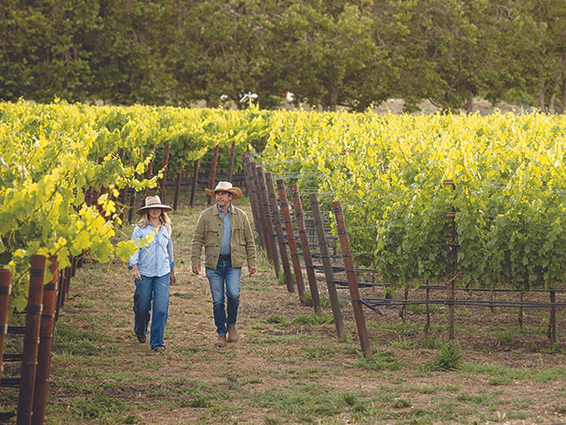 Napa valley: Is grape farming both its new luxury and future