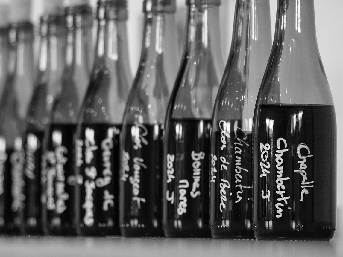 Gevrey-Chambertin 2024: The best of the year's 'crisp and fresh