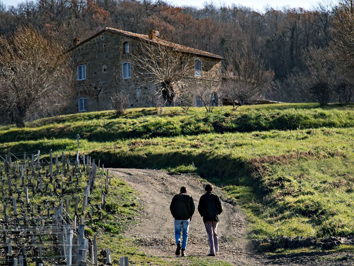 Tenuta di Trinoro: Producer profile & 18 wines tasted | Decanter