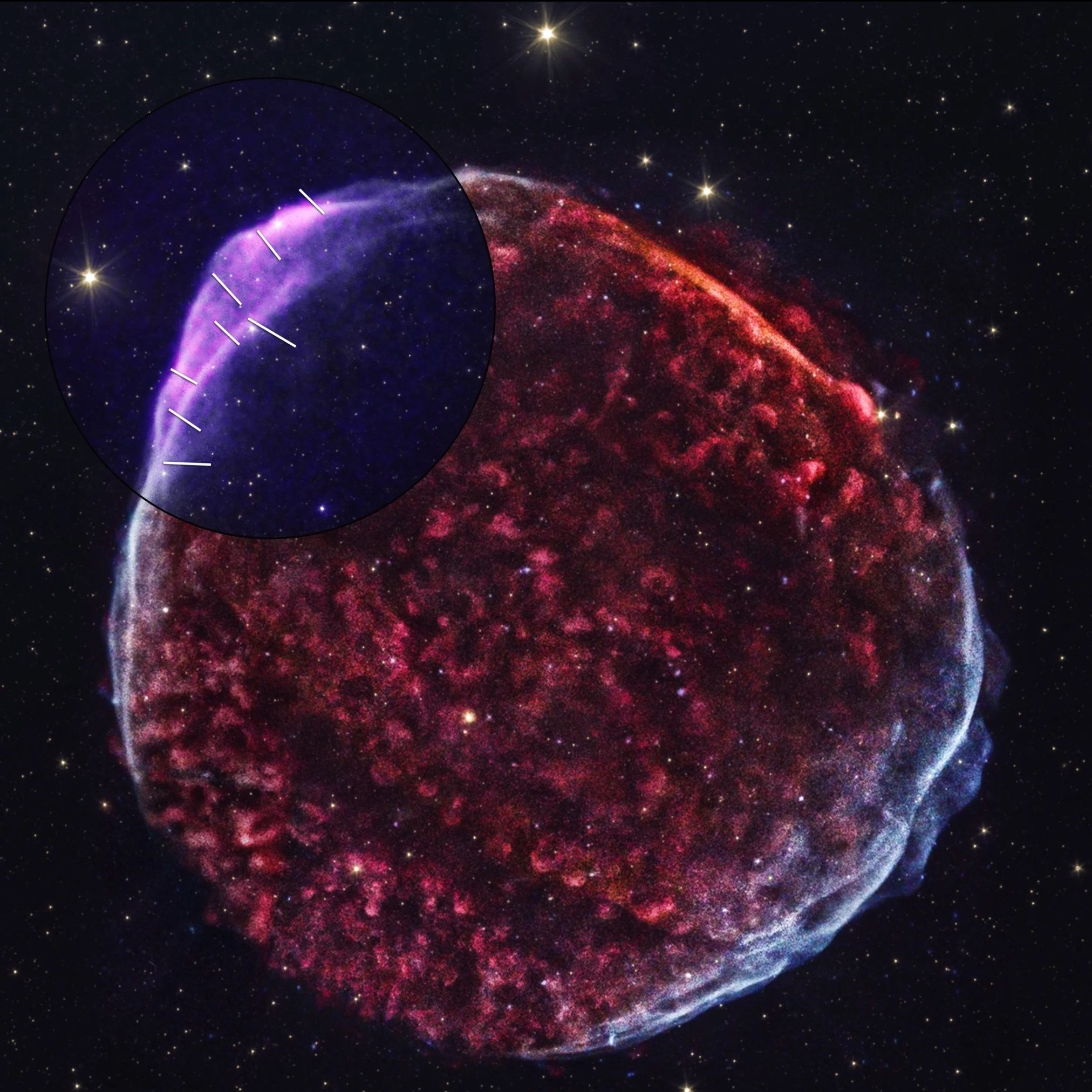 SUPERNOVA 超新星 TRAVELERS NEWS | SUPERNOVA JAPAN OFFICIAL SITE