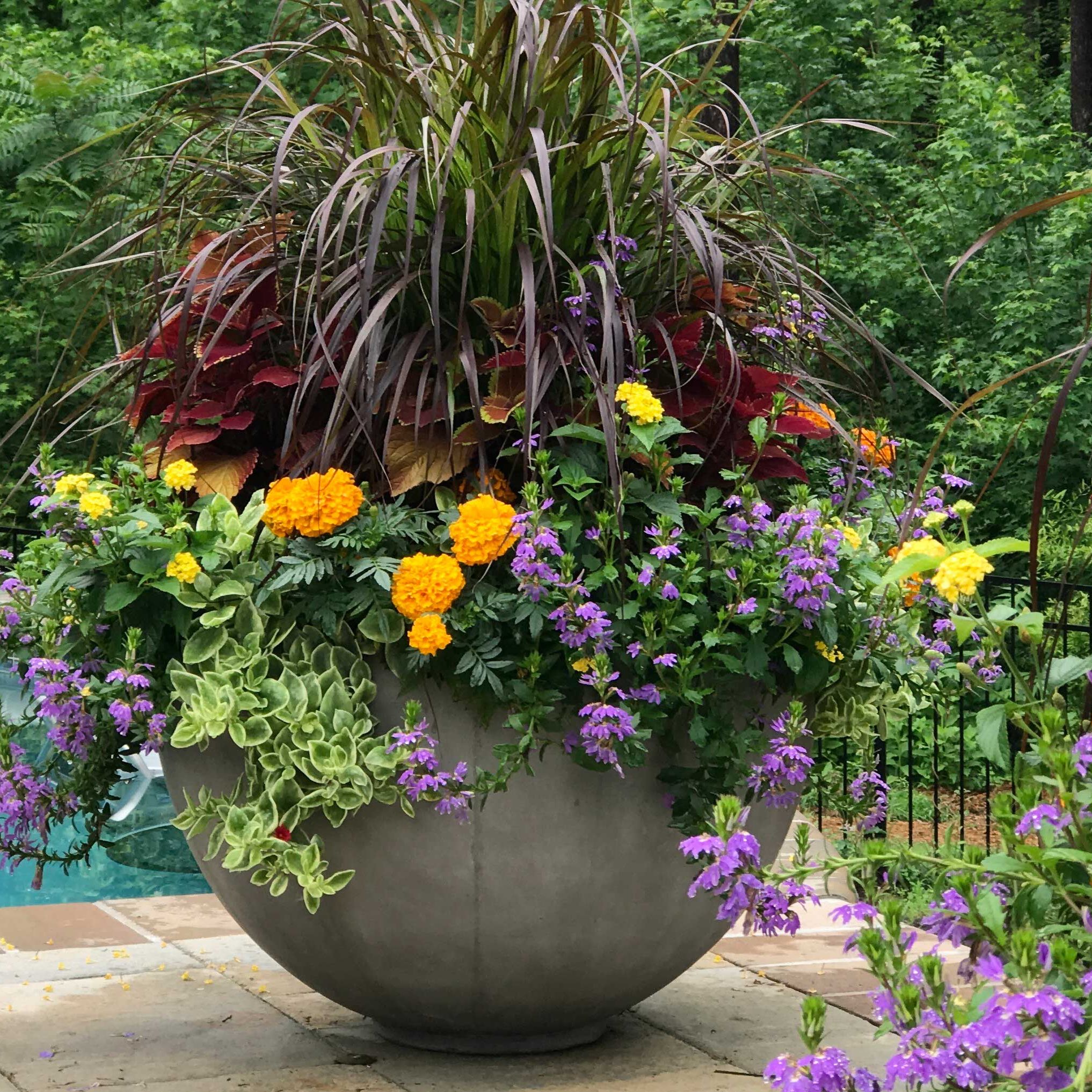 self watering rail planter Chic Railing Planter Box Set w/ Self-Watering & Stackable