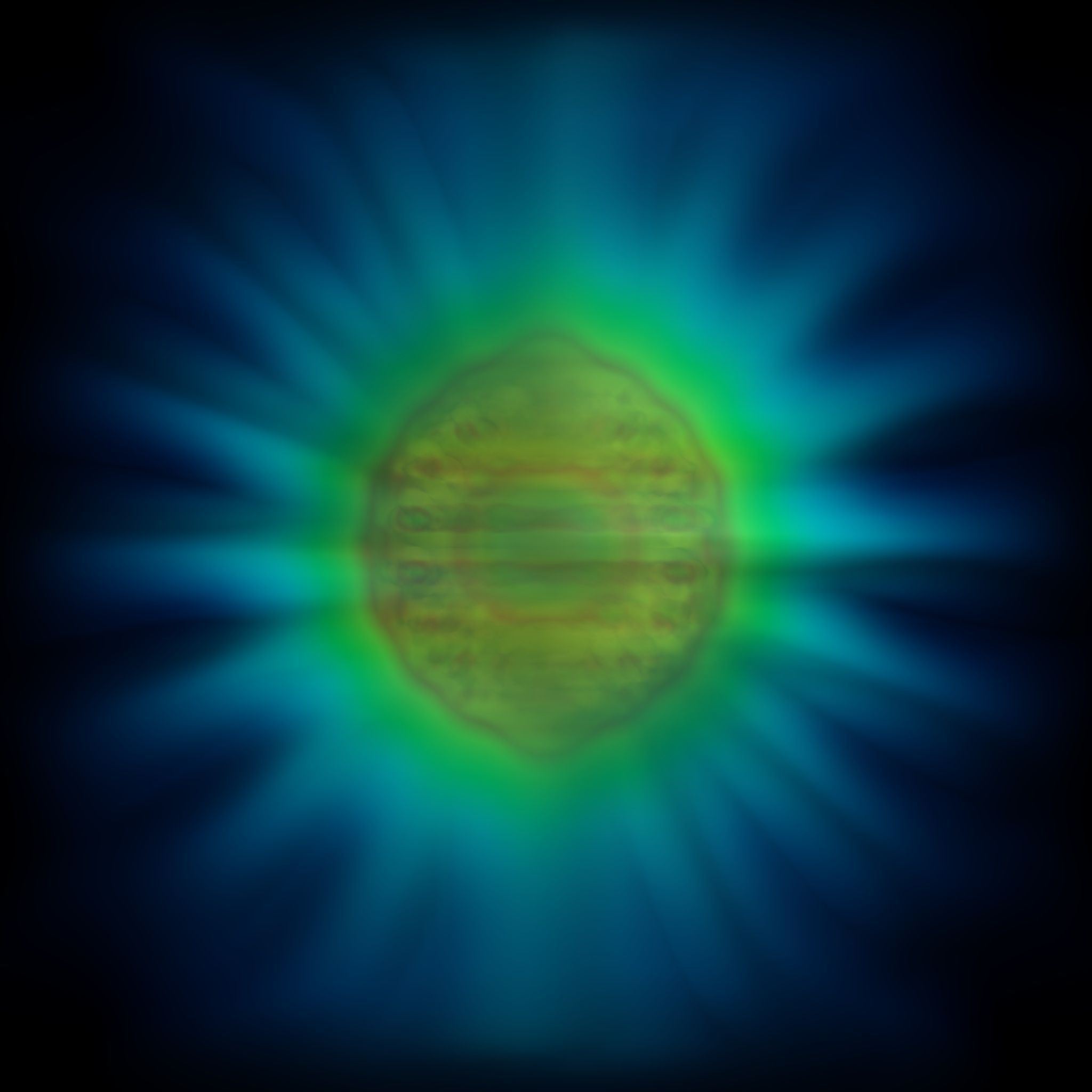 The shape of light: Scientists reveal image of an individual