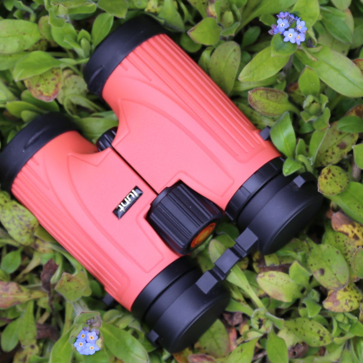 Lunt SunOculars 8x32 solar binoculars review | Space